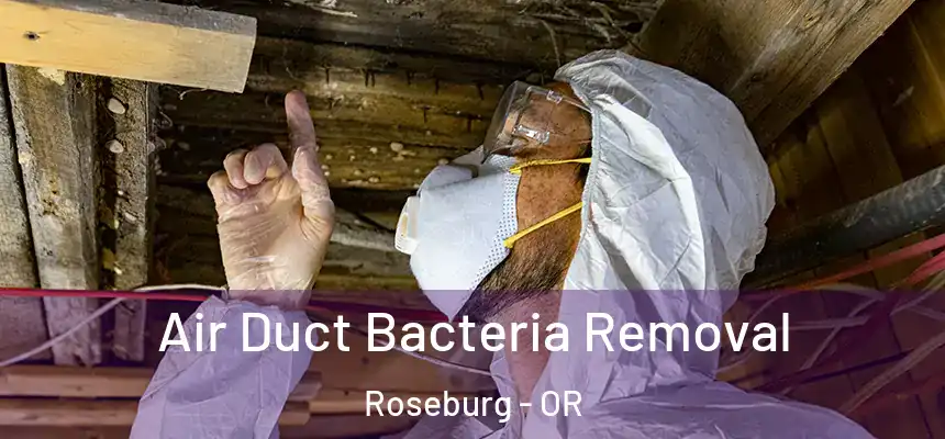  Air Duct Bacteria Removal Roseburg - OR