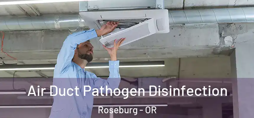  Air Duct Pathogen Disinfection Roseburg - OR