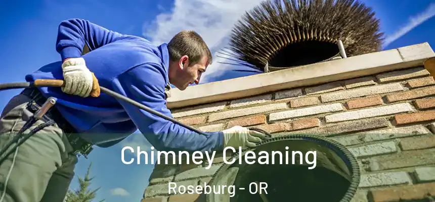 Chimney Cleaning Roseburg - OR
