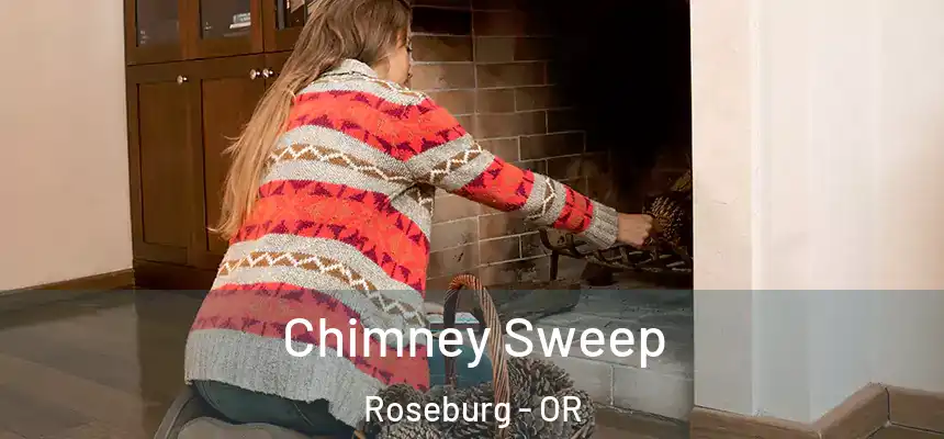 Chimney Sweep Roseburg - OR