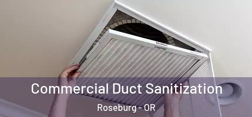 Commercial Duct Sanitization Roseburg - OR