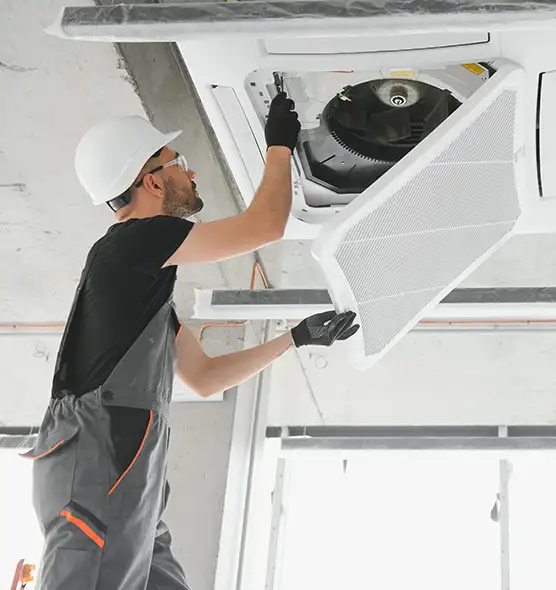 About Air Duct Rodent Removal in Roseburg, OR