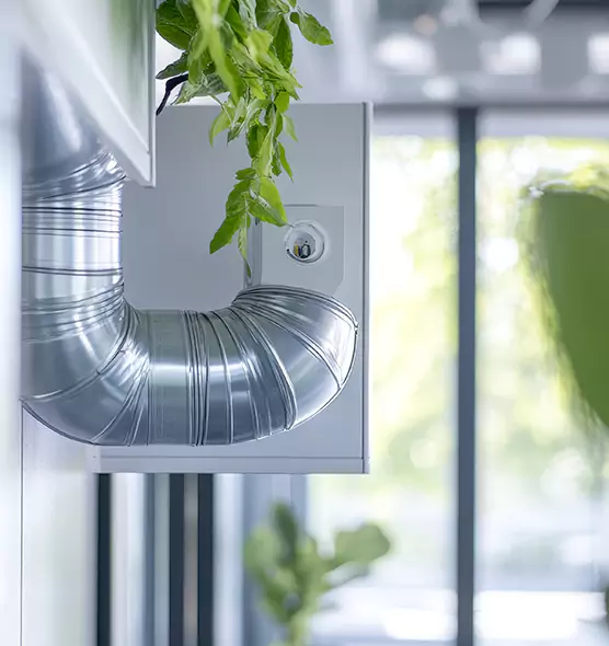 Professional Eco-Friendly Duct Cleaning Services in Roseburg, OR