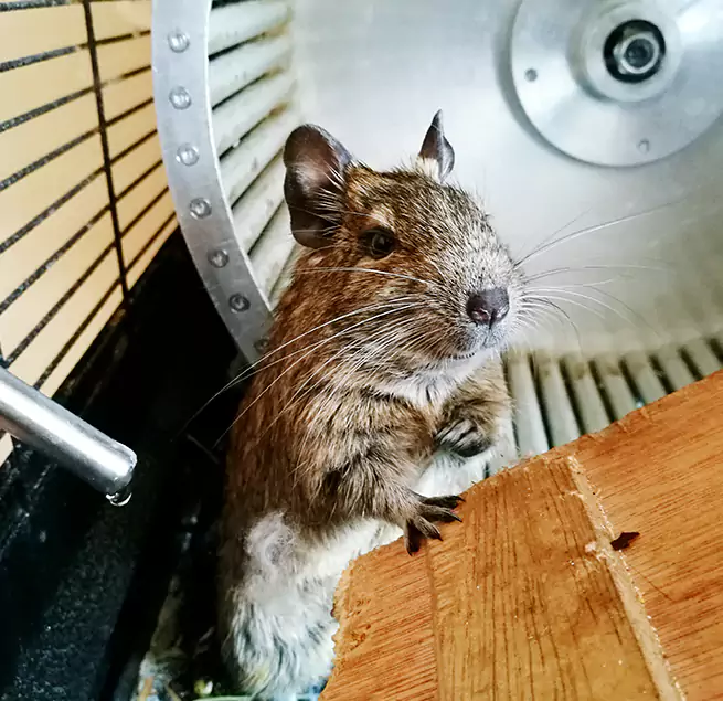 Why Homeowners & Businesses Trust Us Roseburg, OR?