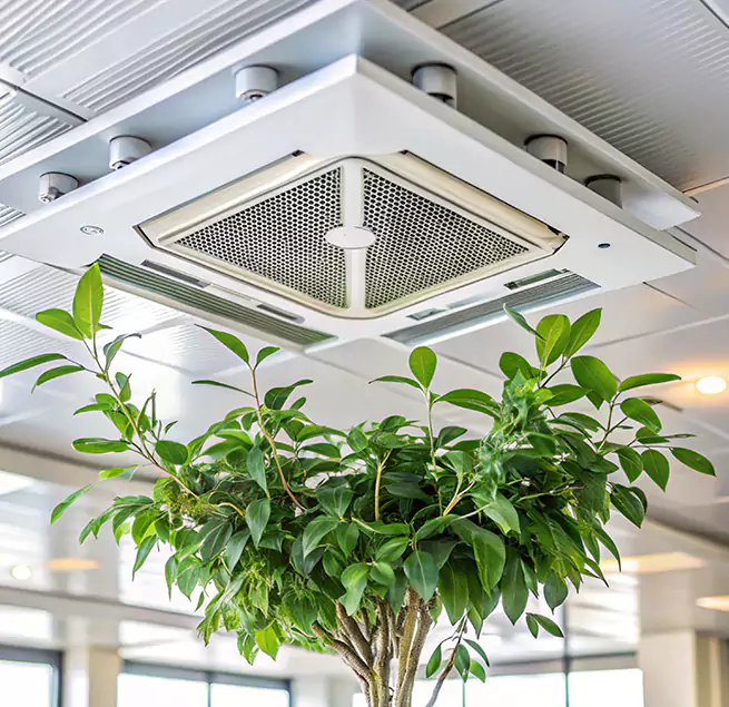 Why Homeowners & Businesses Trust Us in Roseburg, OR?