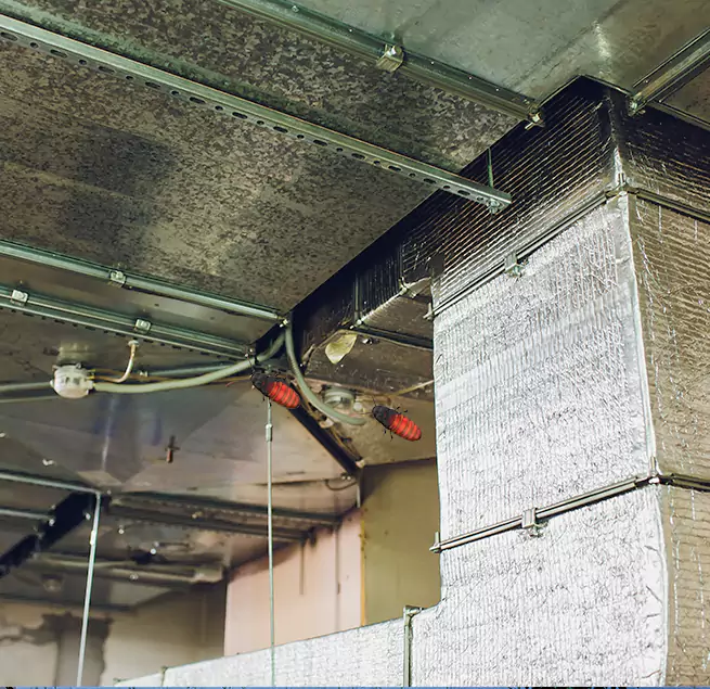 Why Homeowners & Businesses Trust Us Roseburg, OR?