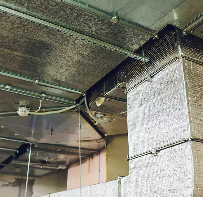 Why Homeowners & Businesses Trust Us in Roseburg, OR?