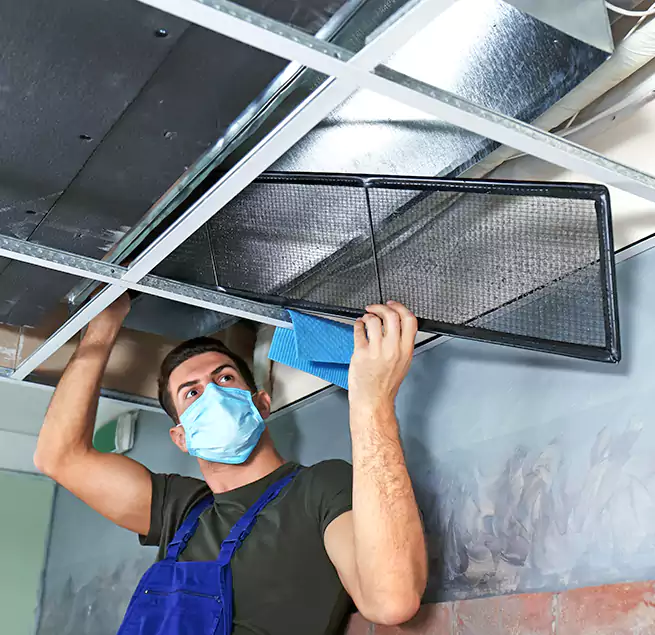 Why Homeowners Businesses Trust Us in Roseburg, OR