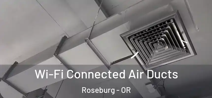  Wi-Fi Connected Air Ducts Roseburg - OR